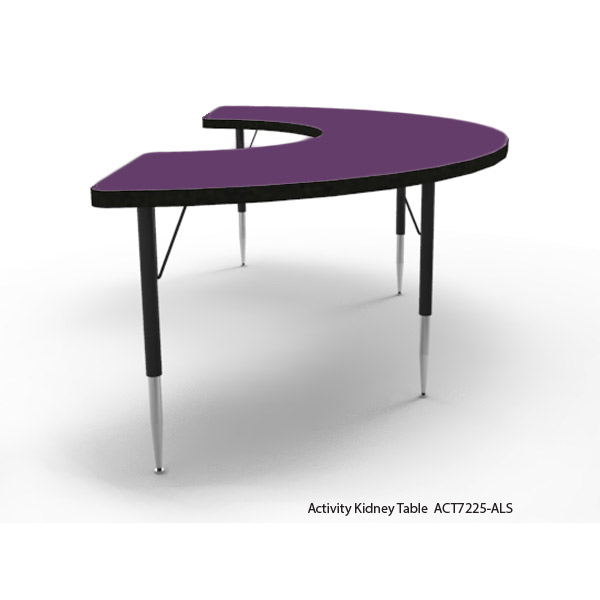 Kidney Activity Table | 21st Century Classroom | WB ...